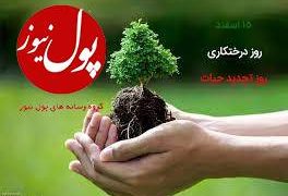 «درخت» آموزگار راه و رسم انسانیت